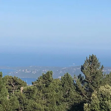 Fraicheur Et Calme En Montagne 30 Mn De La ポルトヴェッキオ