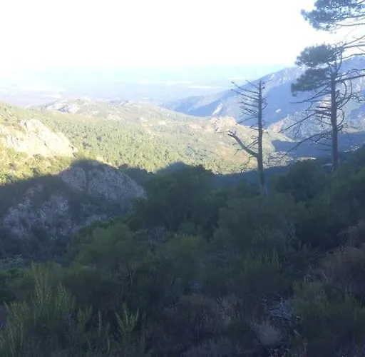 別荘 Fraicheur Et Calme En Montagne 30 Mn De La ポルトヴェッキオ