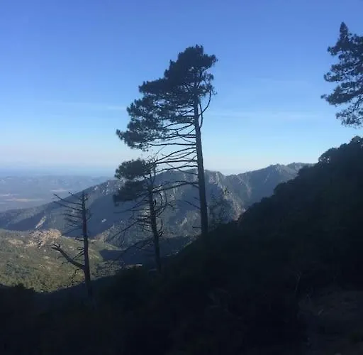 別荘 Fraicheur Et Calme En Montagne 30 Mn De La ポルトヴェッキオ
