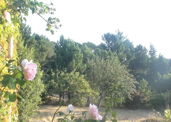 Vakantiehuis Fraicheur Et Calme En Montagne 30 Mn De La